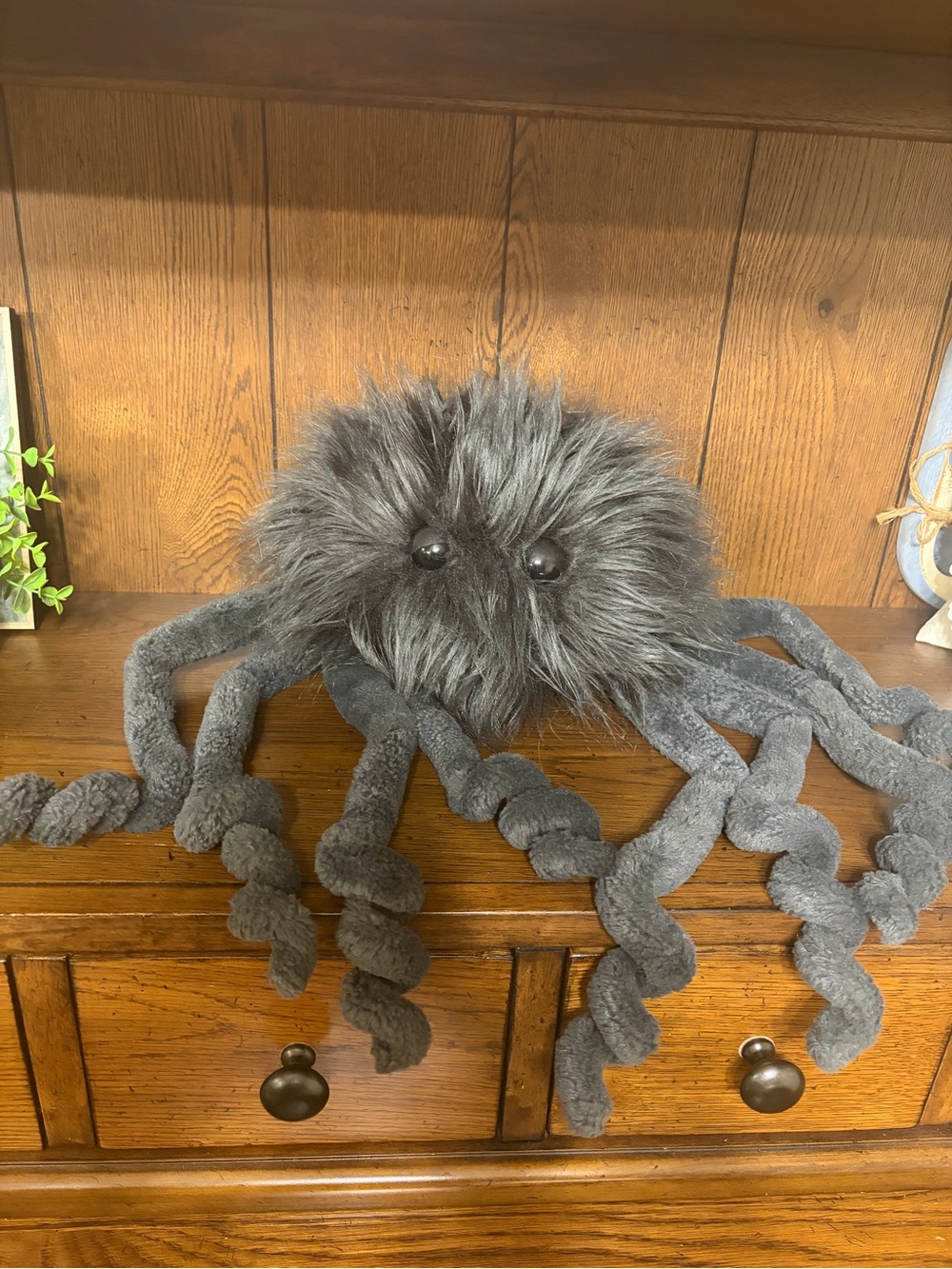 jellycat spout spider